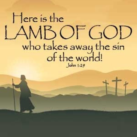 Image result for John 1:29-34